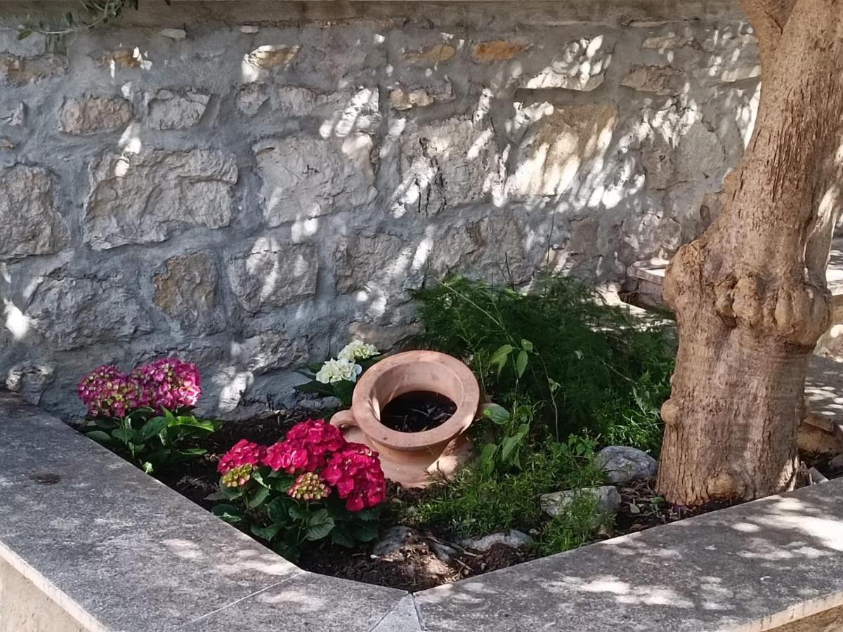 Diocletian Garden Centar Lejlighed Split Eksteriør billede